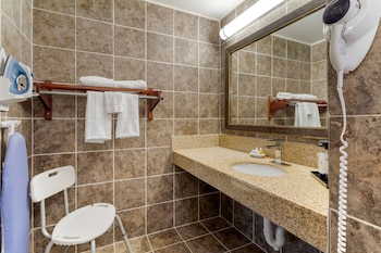 Standard Room, 1 King Bed, Accessible, Bathtub