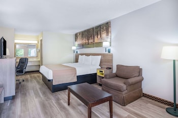 Room, 1 King Bed, Smoking