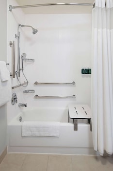 Suite, 1 King Bed with Sofa bed, Accessible, Bathtub