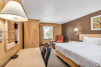 Standard Room, 1 Queen Bed, Accessible, Refrigerator & Microwave (Pet Friendly)