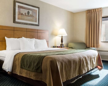 Standard Room, 1 King Bed, Non Smoking