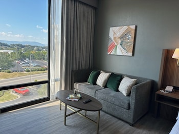 Premium Room, 1 King Bed, Mountain View