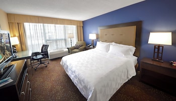 Standard Room, 1 King Bed, Accessible, Non Smoking (Communications, Mobility, Access Tub)