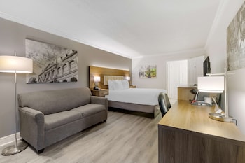 Standard Room, 1 Double Bed, Accessible, Bathtub (with Sofabed)