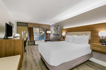 Standard Room, 1 Double Bed, Accessible, Bathtub (with Sofabed)