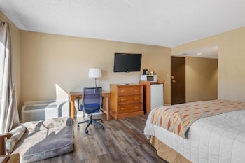 Suite, 1 King Bed, Non Smoking, Refrigerator & Microwave (Pet Friendly)