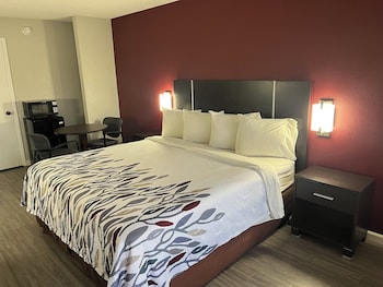 Superior Room, 1 King Bed, Roll-in Shower, Non Smoking