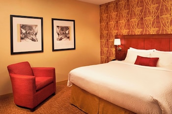 Suite, 1 Bedroom, Hearing Accessible (Mobility Accessible with Bathtub)