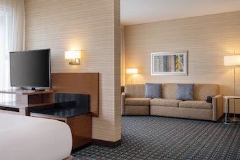 Suite, 1 King Bed with Sofa bed