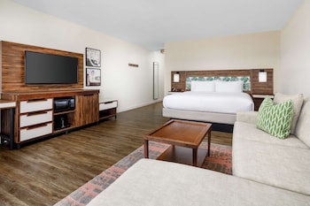 Room, 1 King Bed, Accessible, Ocean View (Mobility & Hearing, Roll-in Shower)