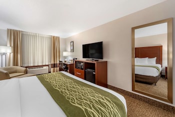 Standard Room, 1 King Bed, Non Smoking