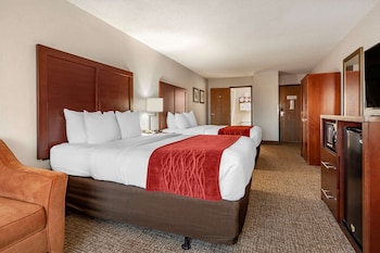 Room, Multiple Beds