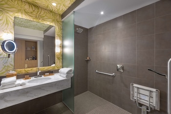 Standard Room, 1 King Bed, Accessible (Mobility & Hearing, Roll-in Shower)