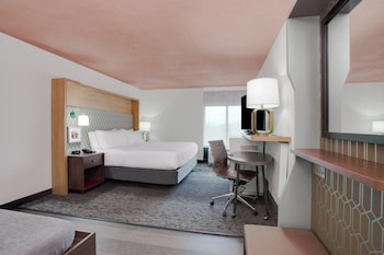 Standard Room, 1 King Bed (Bath/Shower Combination)