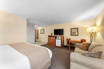 Suite, 1 King Bed, Non Smoking, Refrigerator & Microwave (Walk-in Shower;with Sofabed)
