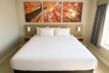 Room, 1 King Bed, Non Smoking