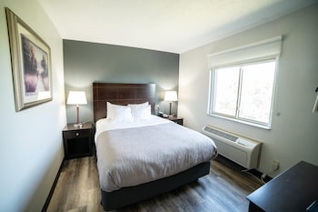 Suite, 1 Queen Bed with Sofa bed, Non Smoking (Upgrade)