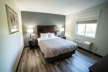 Suite, 1 Queen Bed with Sofa bed, Accessible, Non Smoking (Transfer Shower)
