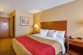 Standard Room, 1 King Bed, Non Smoking