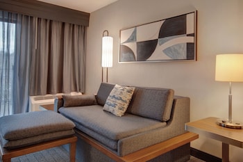 Suite, 1 Bedroom, Hearing Accessible