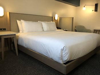 Room, 1 King Bed