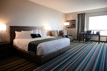 Signature Room, 1 King Bed