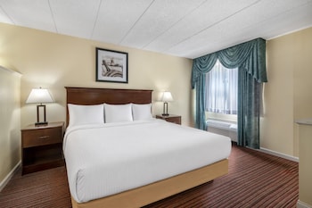 Standard Room, 1 King Bed, Non Smoking, Jetted Tub (Oversized Room)