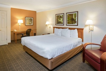 Room, 1 King Bed, Non Smoking