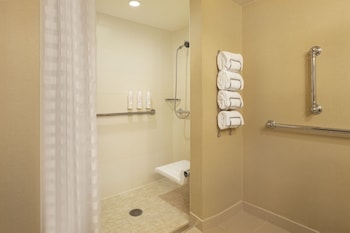 Deluxe Room, 1 King Bed (Mobility Accessible, Roll-In Shower)