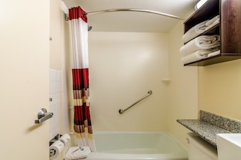 Premium Room, 1 King Bed, Accessible, Poolside (Upgraded Bedding&Snack Box, RI Shower)