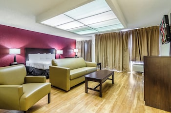 Suite, 1 King Bed with Sofa bed (Smoke Free)