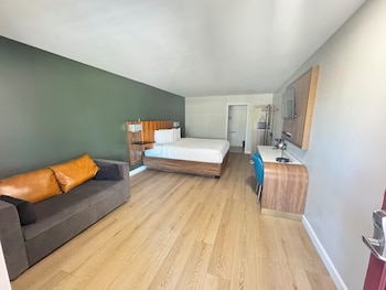 Standard Room, 1 King Bed, Non Smoking, Refrigerator & Microwave (Shower Only;with Sofabed)
