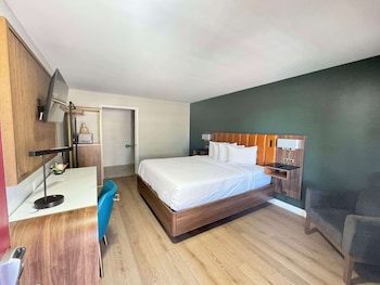 Standard Room, 1 King Bed, Accessible, Refrigerator & Microwave