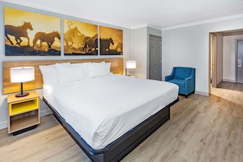 Deluxe Room, 1 King Bed, Accessible, Non Smoking (Mobility Accessible)