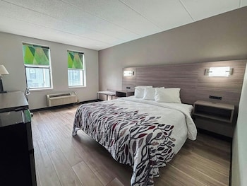 Superior Room, 1 Queen Bed, Accessible, Non Smoking (Roll-In Shower)