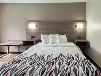 Superior Room, 1 Queen Bed, Accessible, Non Smoking (Roll-In Shower)