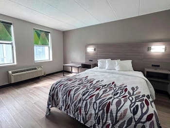 Superior Room, 1 Queen Bed, Accessible, Non Smoking (Roll-In Shower)
