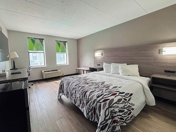 Superior Room, 1 Queen Bed, Accessible, Non Smoking (Roll-In Shower)
