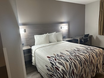 Superior Room, 1 Queen Bed, Accessible, Non Smoking (Roll-In Shower)