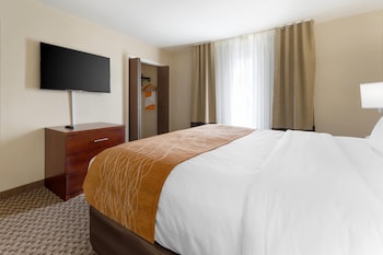 Standard Room, 1 King Bed, Non Smoking