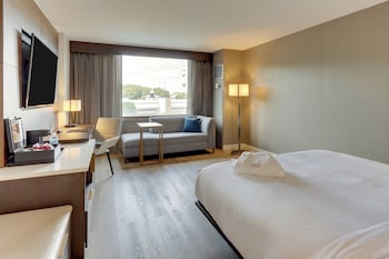 Room, 1 King Bed