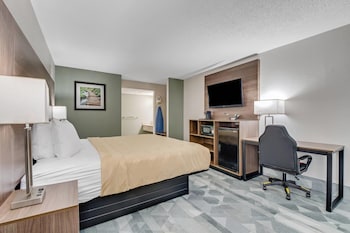 Standard Room, 1 King Bed, Non Smoking