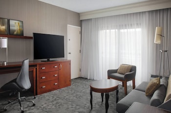 Suite, 1 King Bed with Sofa bed (Hearing Accessible)