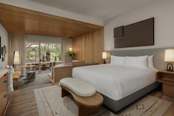 Room, 1 King Bed