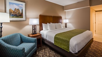 Standard Room, 1 King Bed, Non Smoking, Refrigerator & Microwave (Main Tower)