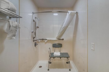 Standard Room, 1 King Bed, Accessible, Non Smoking