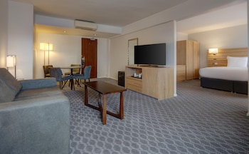 Suite, 1 King Bed