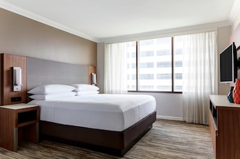 Suite, 1 Bedroom