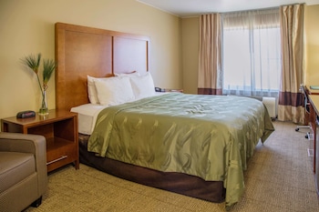 Standard Room, 1 King Bed, Non Smoking