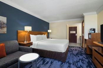 Suite, 1 King Bed with Sofa bed